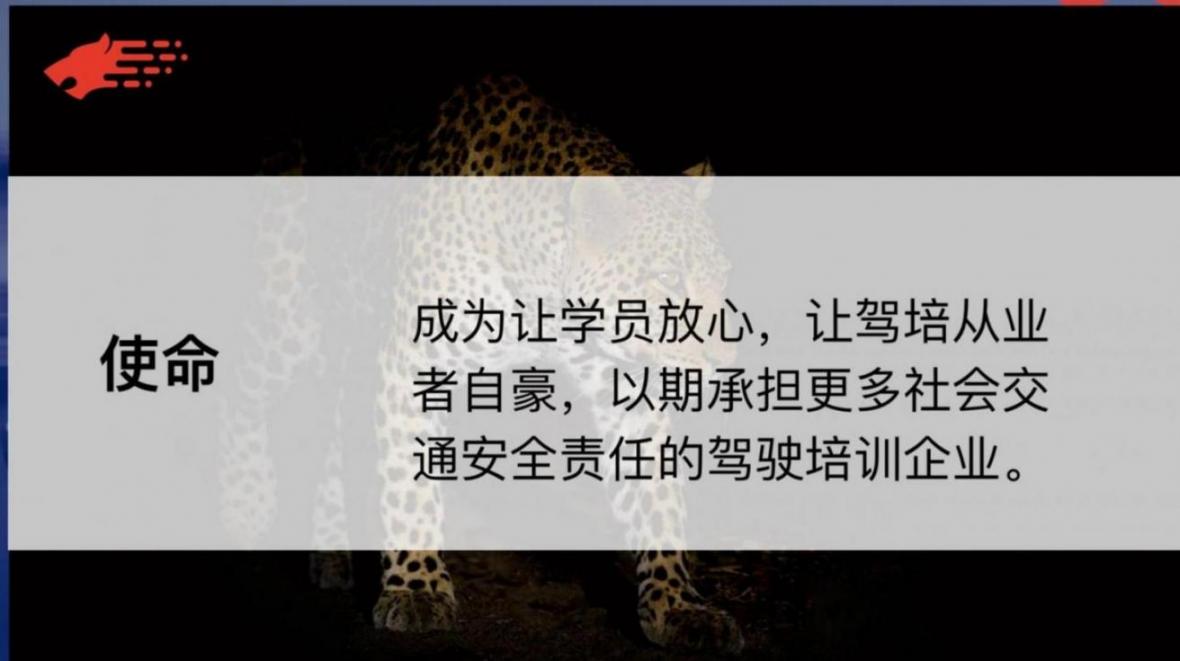 豹到学车驾校